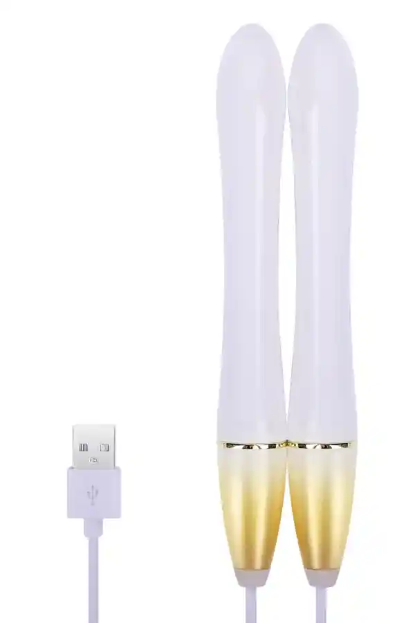 加熱棒の性能と効率の詳細なレビューと分析